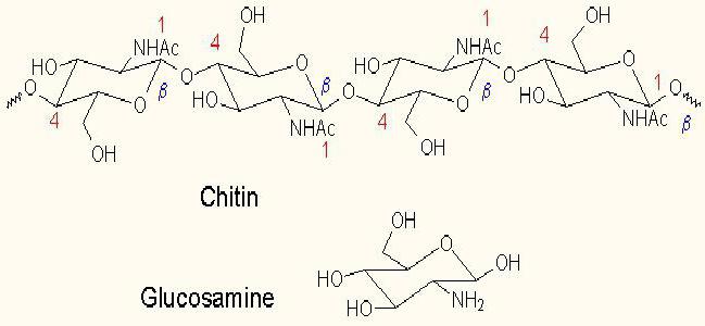 analogai gliukozamino ir chondroitino tradiciniai gydymo sąnario reumatas