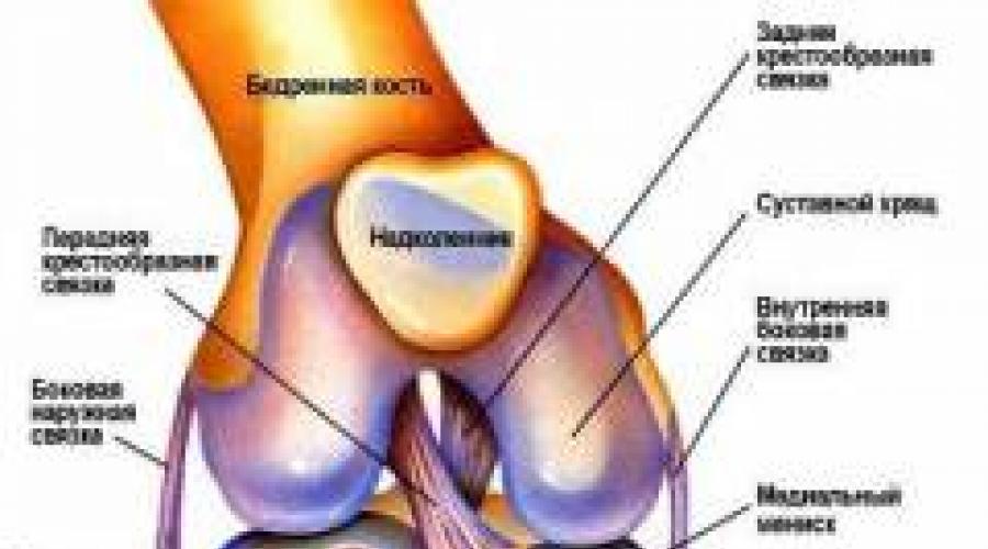 gogress artrozė pėdų gydymas