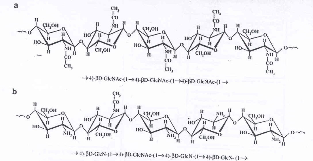 gliukozamino ir chondroitino skystos formos