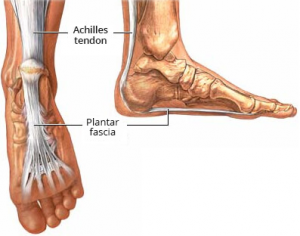 pėdos sąnario ir kulno skausmas gydymas artrozė bado atsiliepimus