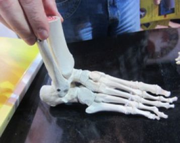 skausmas didįjį pirštą iš kairės kojos sąnario